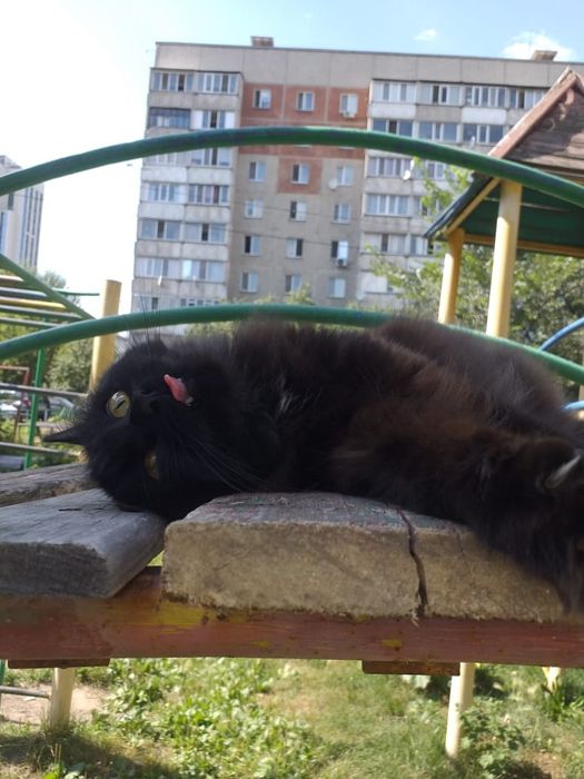 В самые добрые ручки