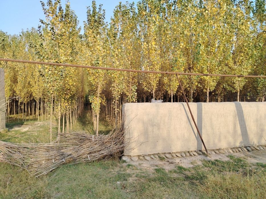 Yer sotiladi dakument joyida