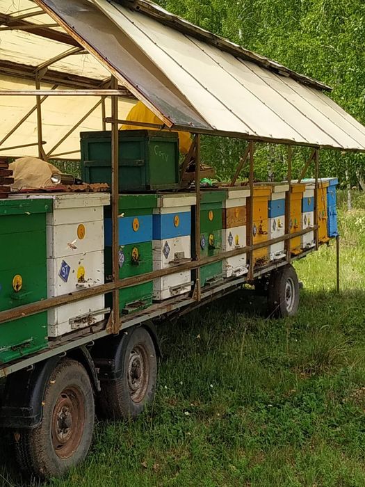 Продам пчеловодный прицеп