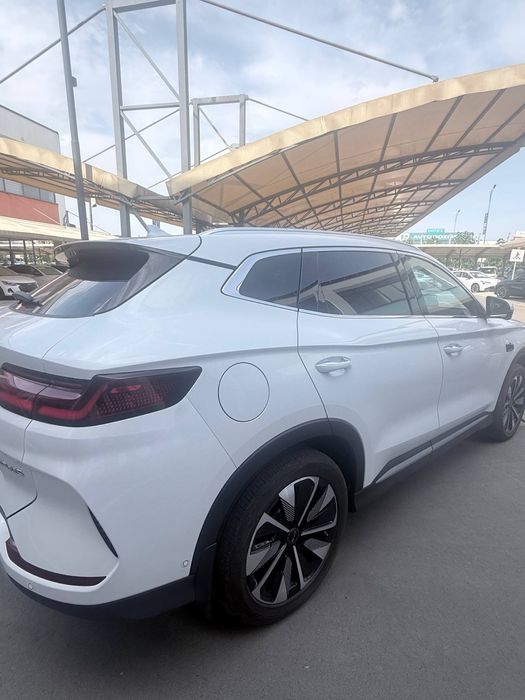 Byd chempion  SMART 2025