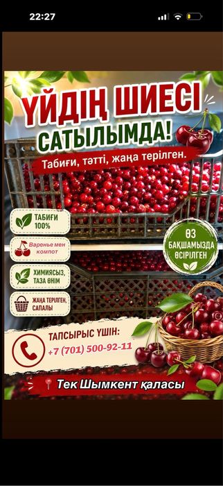 Свежие домашние вишни