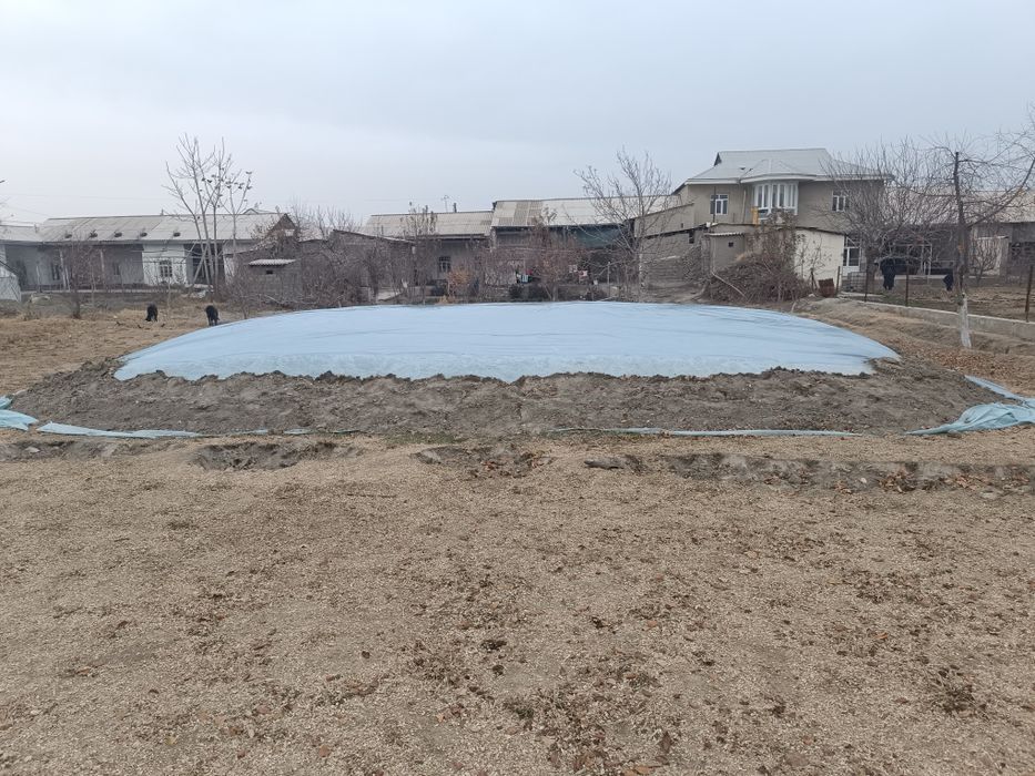 Дон селос сотилади мешок 16 Минг оптом хам дагавор килинади