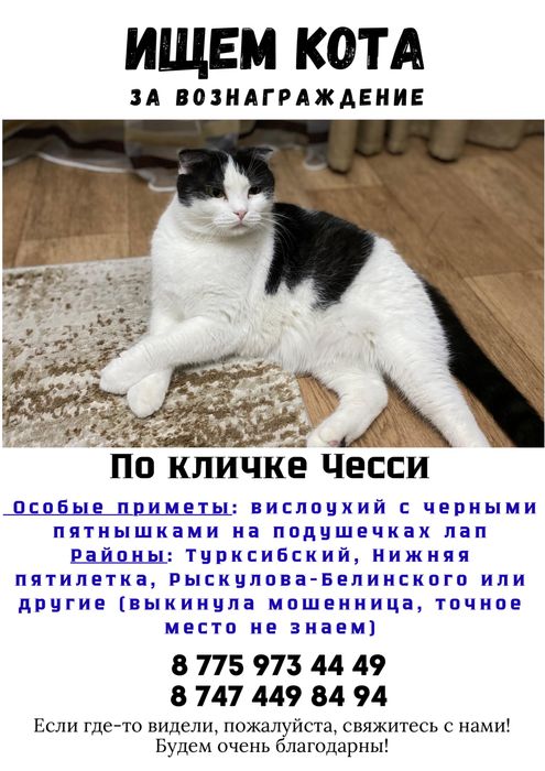 Итальяндық порно фильмдерді онлайн көру