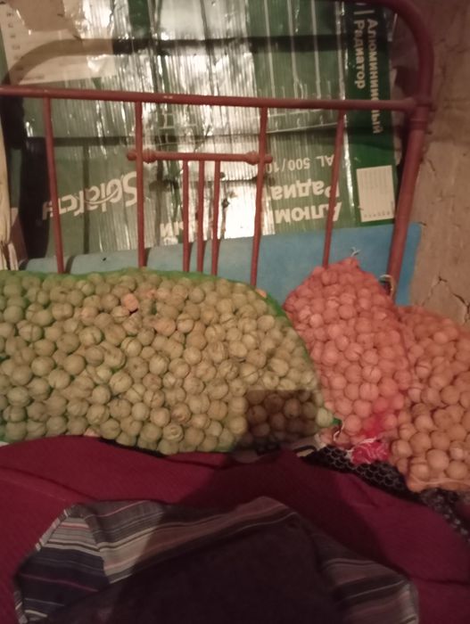 Грецкий орех продается кг 500