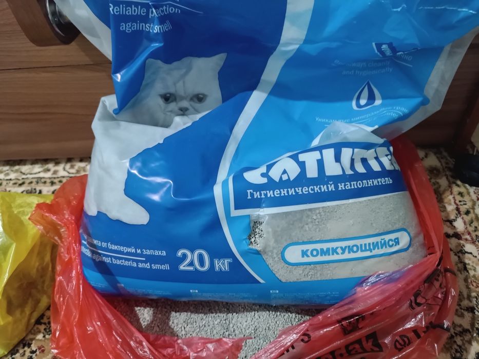 Продам отличный набор для кошки / котёнка.