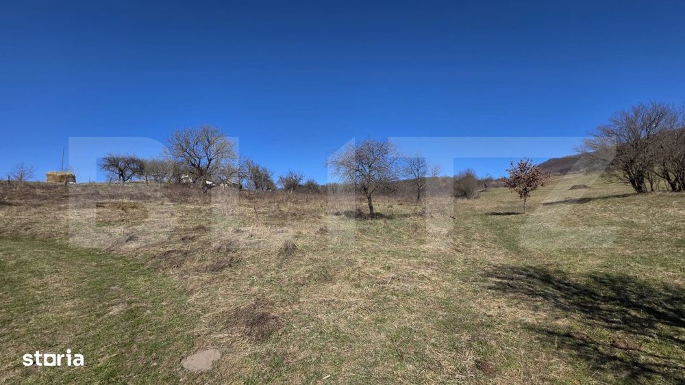 Teren de vanzare de 8,567MP in zona: Tarpiului