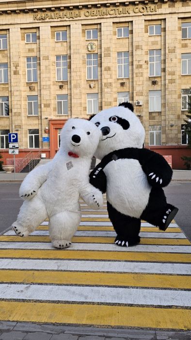 Ayiqlar optim narxda айиклар