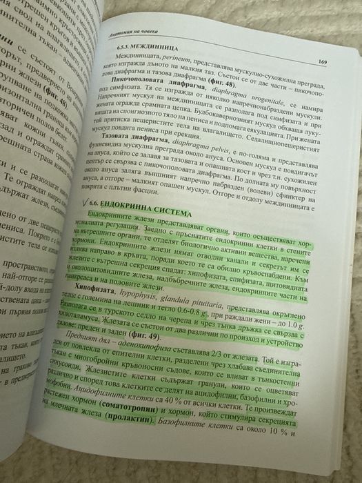 Учебник по Анатомия на човека