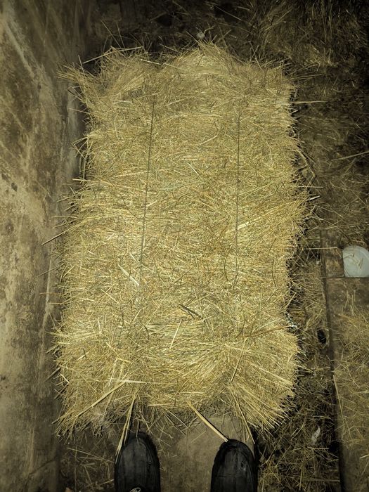 Разнотравье сено