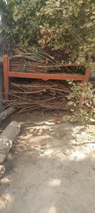 Quruq o'tin sotiladi