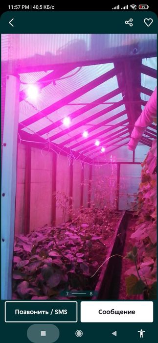 50wСадовая фито fito лампа чип для прожектор цветы теплица гидропоника