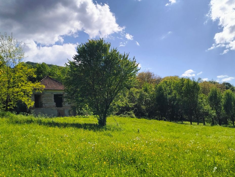 Vand urgent! Mada Muntii Apuseni! casa teren intravilan,10.000mp toate actele i regula, foarte linistit, in mijlocul naturii la 30 min de Geoagiu-Bai!