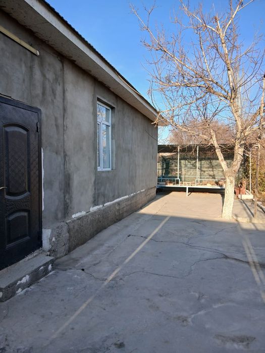 Дом милый Дом дом