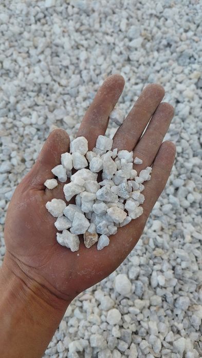 Мазайка мраморний