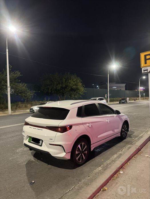 Byd e2 luxury 2024