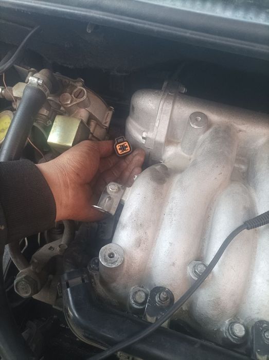 Changan orqa bagaj eshigi