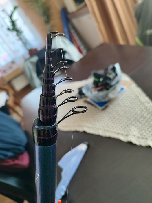 Въдица болонеза 5м.