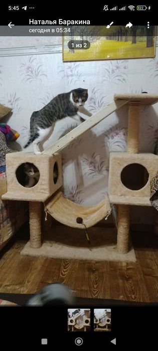 Котодомик когтеточка лежанка для 4х и более кошек