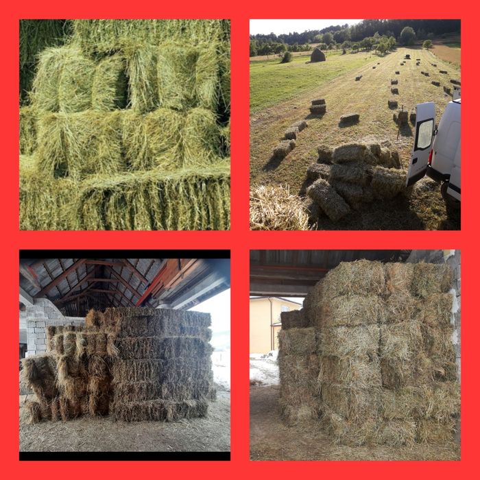 Baloti de ,fan ,otava ,lucerna