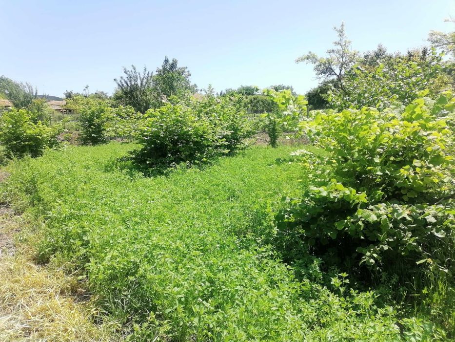 Продава се Къща в с. Садина, Област Търговище - 150 кв.м за 85 €/кв.м - Снимка #19