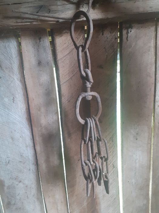 Circei pentru buștean