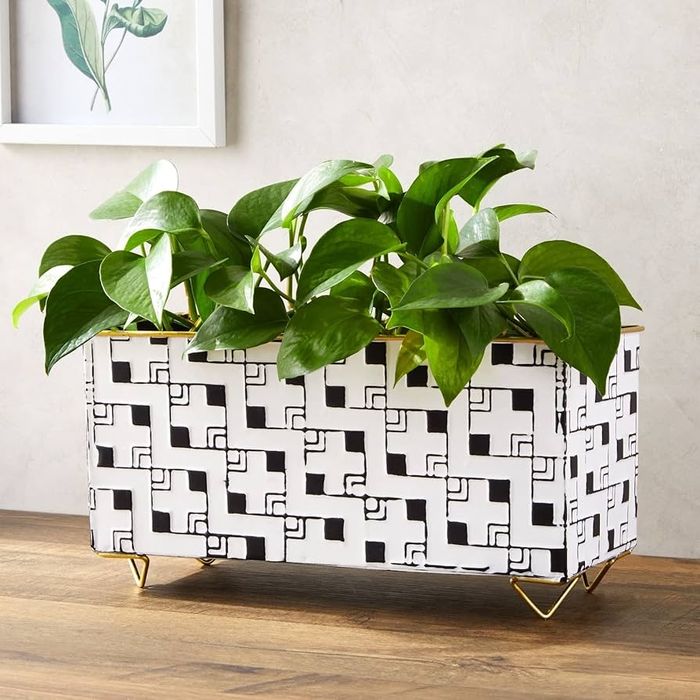 Jardinieră dreptunghiulară decorativă Farmlyn Creek