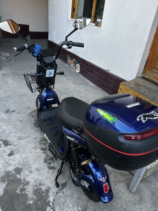 wasat elekrot mott