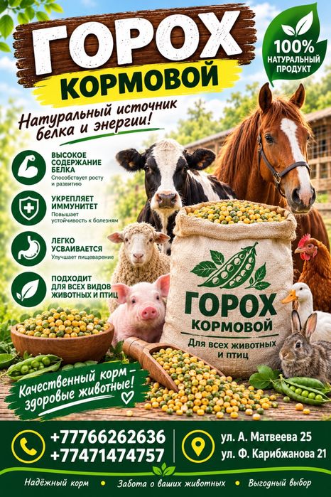 Горох. Гороховые отходы