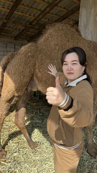 Шұбат.Арал өңірінің таза шұбаты.