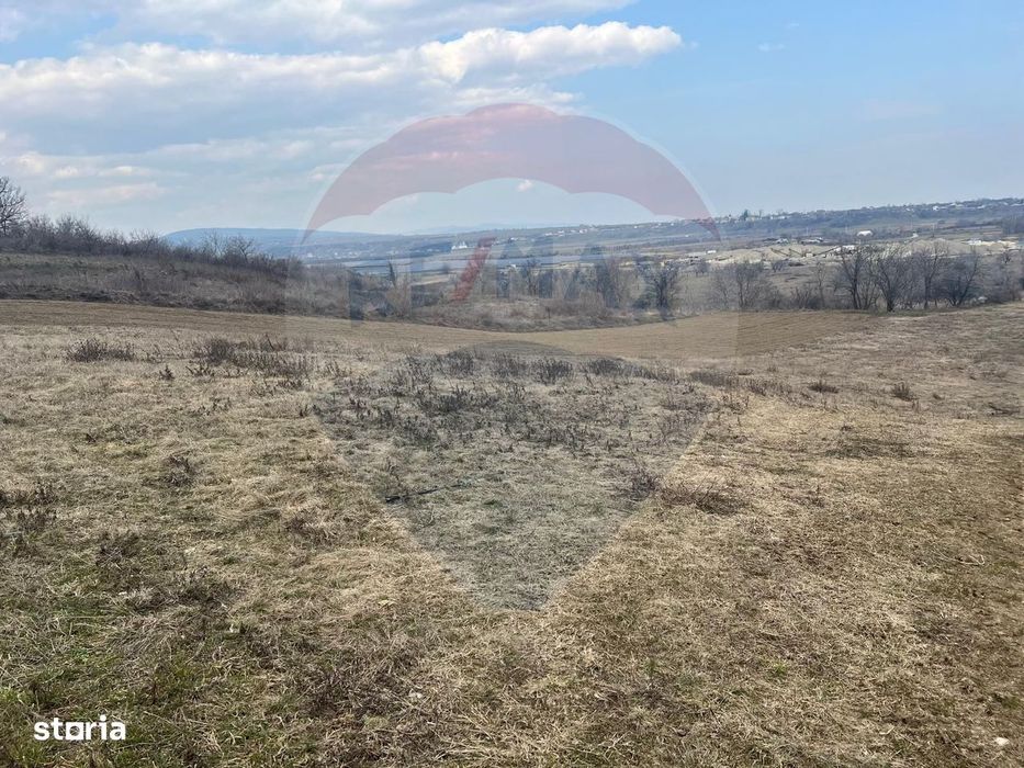 Teren intravilan Dumbraveni / Strada Principala