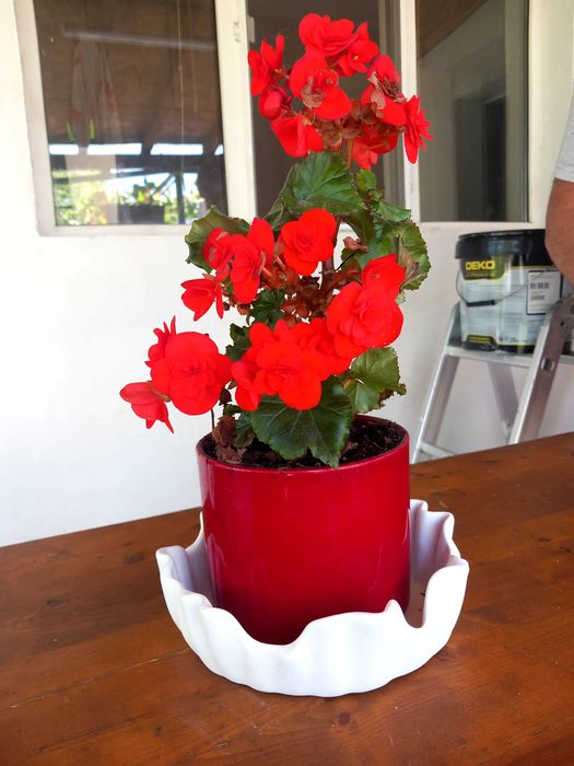 Музаечна фигура-паничка, лодка