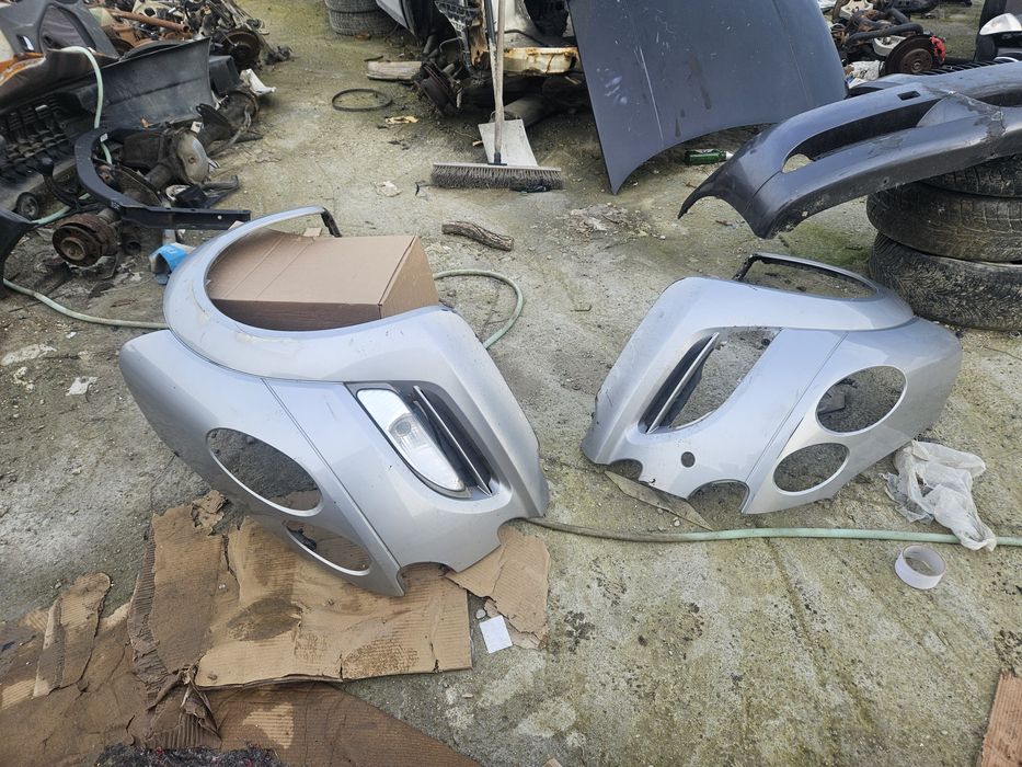 Aripi bări Smart Forfour