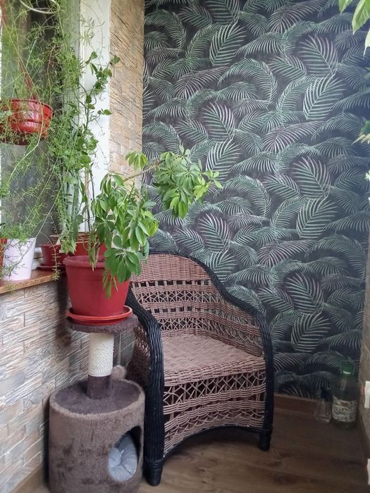 2х комнатная квартира