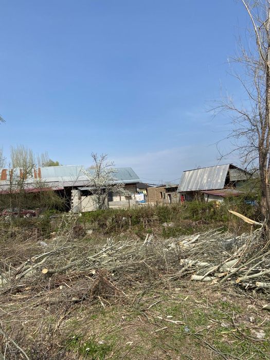 отдам дрова много