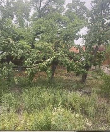 Продается дом в с. Бахар