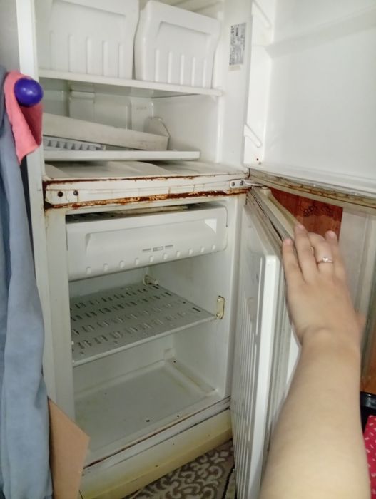Музлатгич холати ало