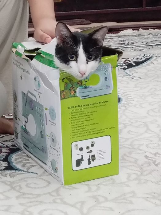 Mini tikuv mashinkasi