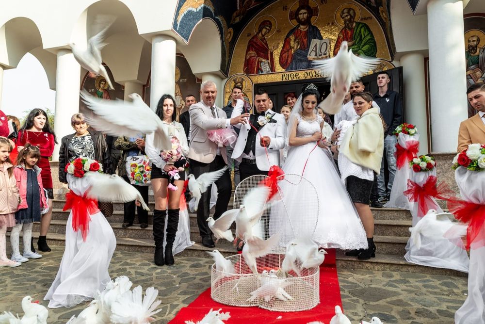 Porumbei albi pt nunti si alte evenimente, aranjamente cristelnita.