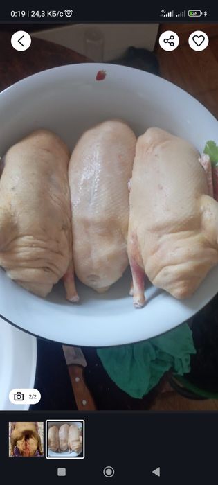 Продам мясо гуся