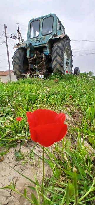 MTZ 80 ishlabturgan texnika