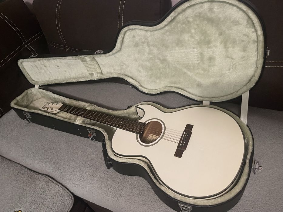 Гитара Washburn EA-20 WH