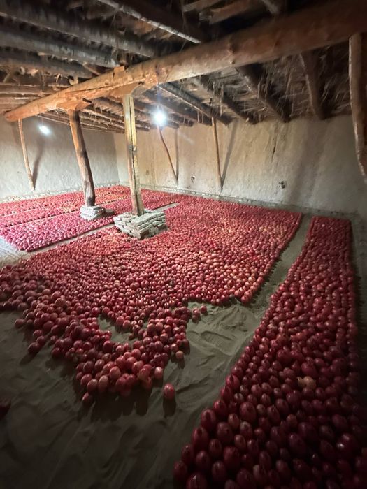 Anorlar sotiladi dehqon maxsuloti