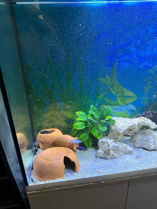 Аквариум 150 см 370л с тумбой и фильтром Atman AT-3339S