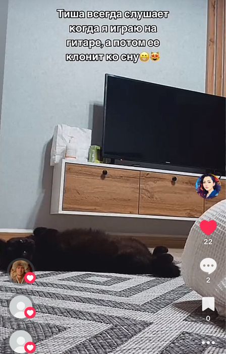 Ищу семью для Тиши