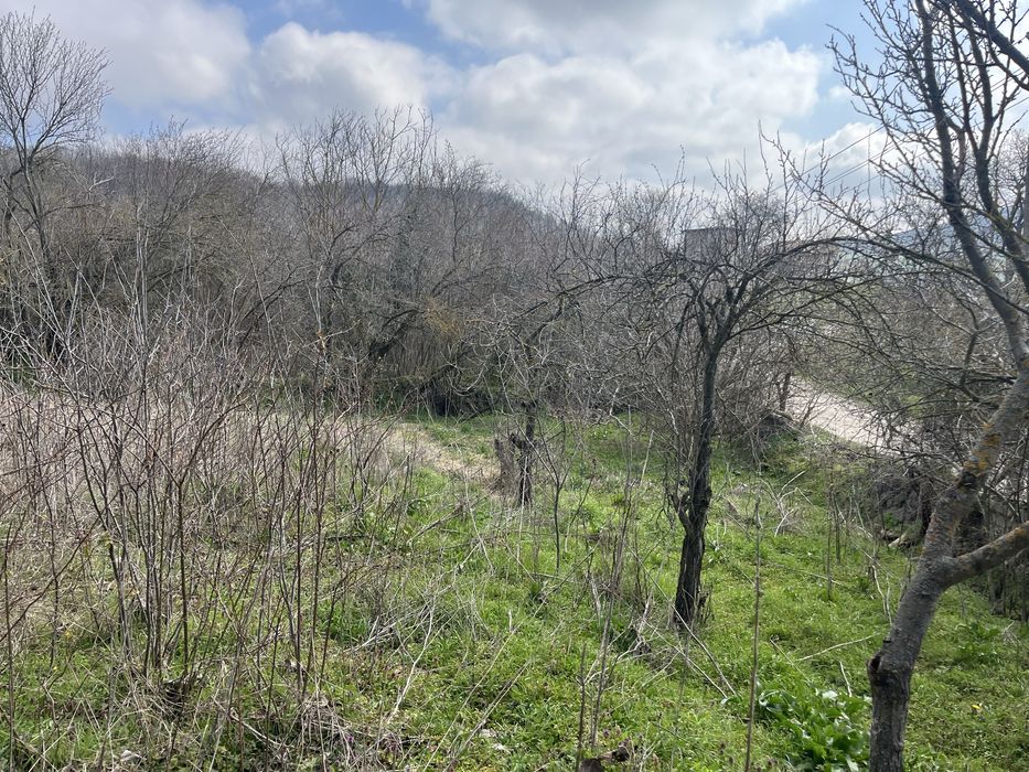 Стара  Българса  Къща