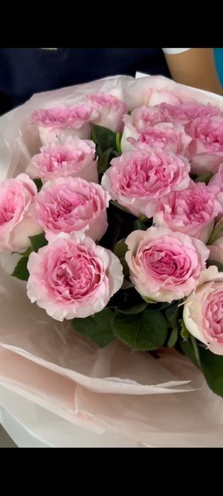 Өте керемет,қазір келді