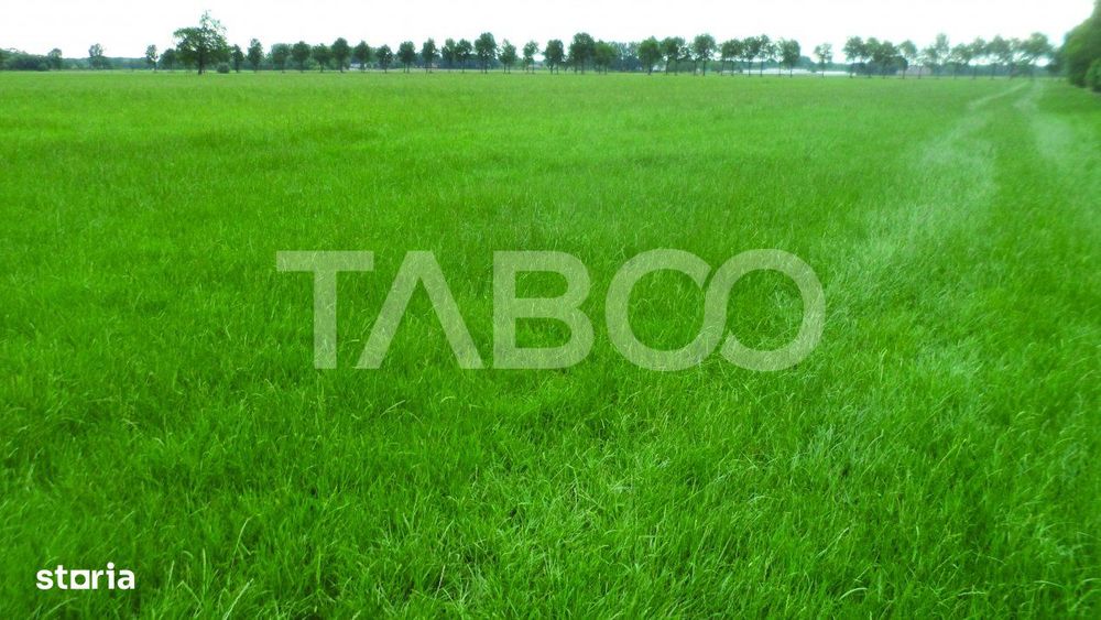 Teren intravilan deschidere 35 ml 7000mp in zona Industrial Vest Sibiu