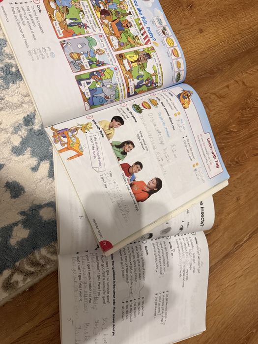 Flyhigh english book