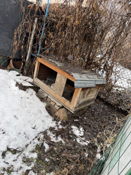 Клетки , будка для животных