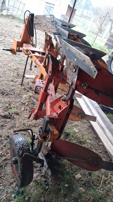 Plug de vanzare huard Plopis • OLX.ro